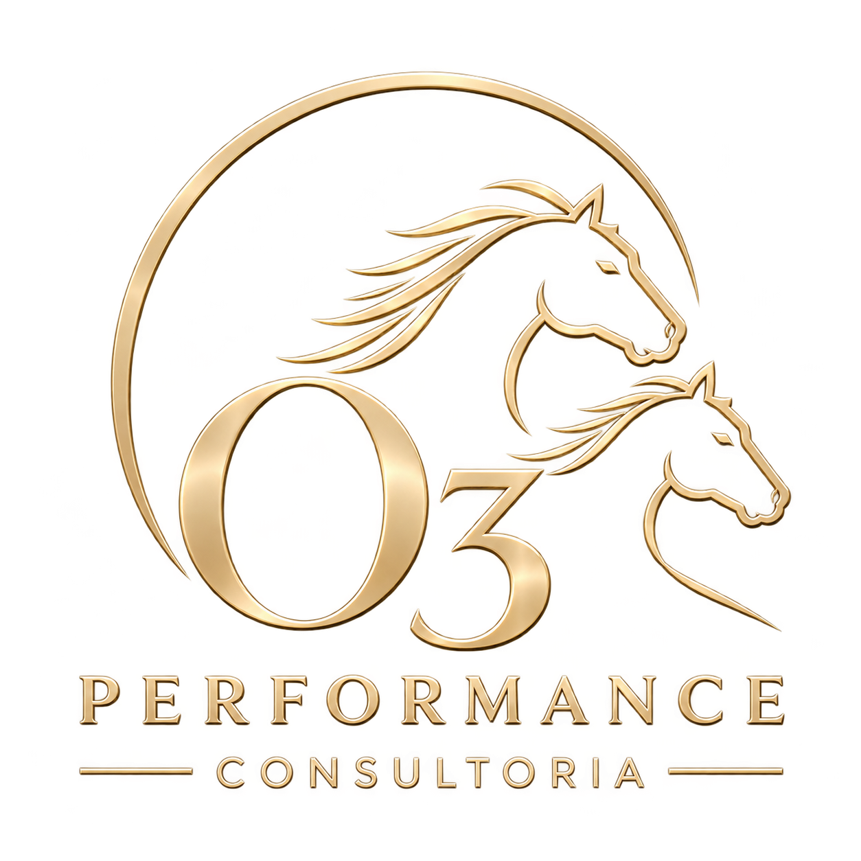 O3 Performance Consultoria